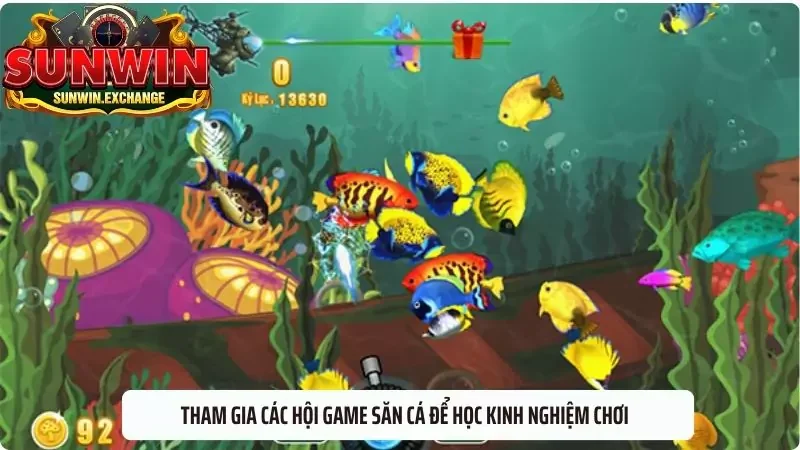 Tham gia các hội game săn cá để học kinh nghiệm chơi