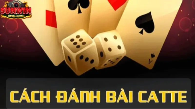 Truy cập vào tựa game Catte trên cổng game Sunwin để tham gia trò chơi